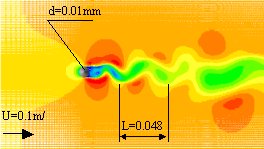 (a) Karman flow by Cylinder